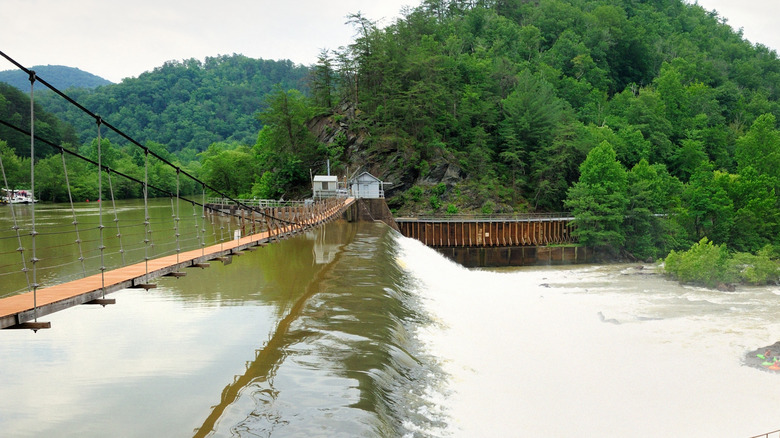 This Charming Tennessee City Boasts Cozy B&Bs, Unique Events, and Rich History