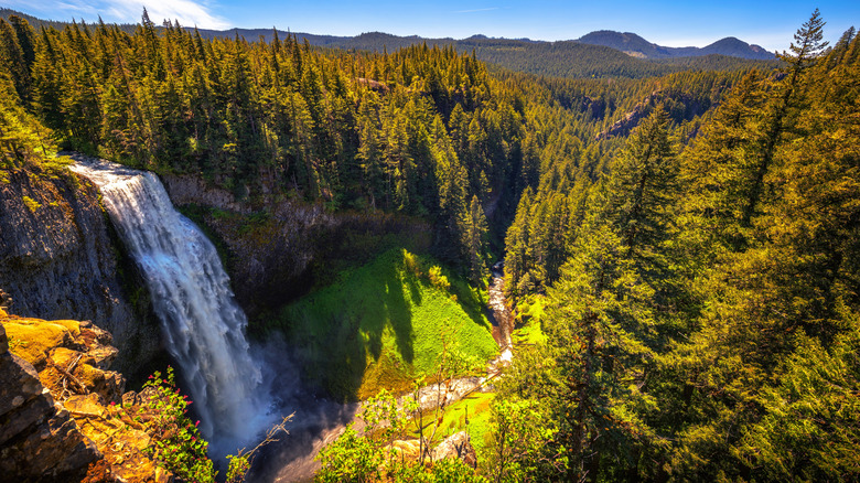 Oregon's Second Tallest Single-Drop Waterfall: A Captivating Destination with Picturesque Hiking Trails