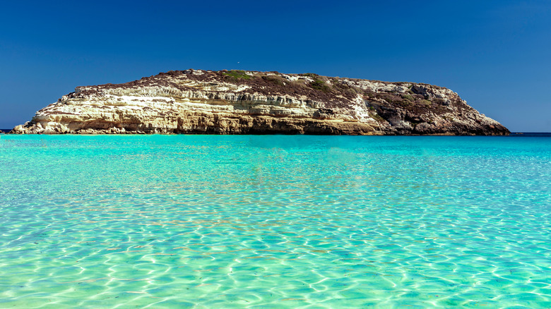 Italy's Most Stunning Beach for 2025: A Pristine Paradise with Crystal-Clear Waters, Sea Turtles, and Majestic Cliffs