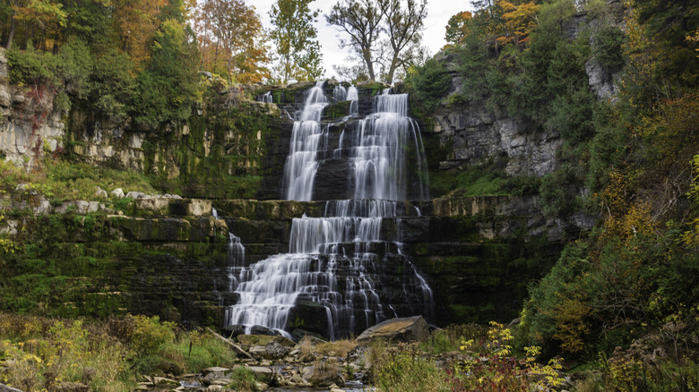 Explore a New York State Park Featuring Waterfalls, Cozy Campsites, and Scenic Trails