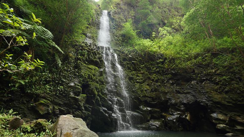 Discover a Hidden Oahu Trail Leading to a Breathtaking 100-Foot Waterfall and Secret Freshwater Pool