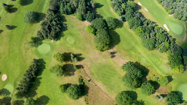 Iconic Northern Michigan Golf Retreat Features Pool, Sauna, Dining, and Forest-Lined Fairways