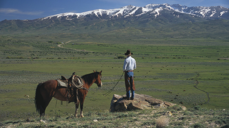 Experience the Magic of Nevada: Mountain Hikes, Cowboy Charm, and Peaceful Campfire Nights All in One Place