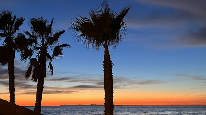 California's 'Spanish Village By The Sea' Between LA and San Diego Offers Stunning Beach Camping
