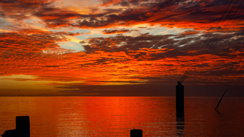 Discover Alabama's Gulf Coast Gem: Fresh Local Seafood and Serene Rural Escape