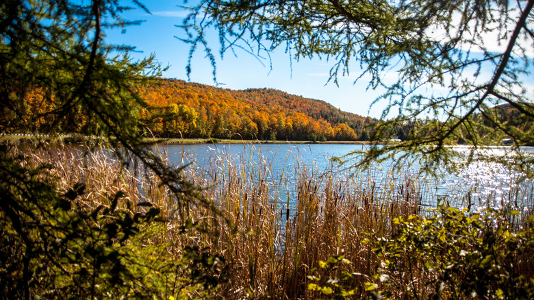 Explore This Hidden Gem in Vermont: A Town Brimming with Unique Attractions and Stunning Ponds