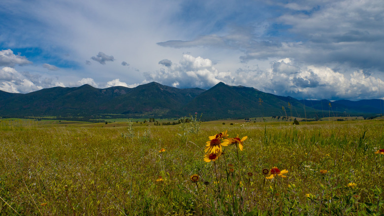 Nestled Among Montana's Majestic Mountains: A Charming Lake Town with Rugged Hiking Trails