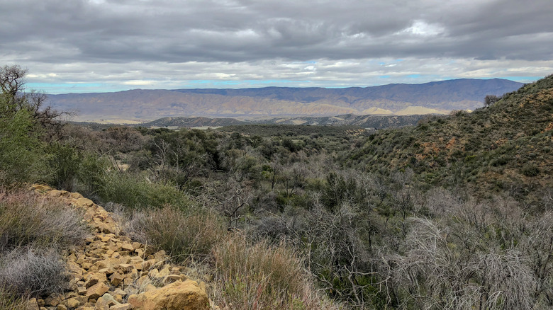 A Tranquil Valley with Rolling Hills, Golden Sunsets, and Wine: One of California's Best-Kept Secrets
