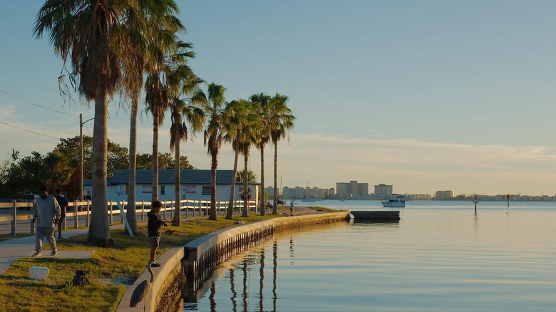 Nestled Between Tampa and Sarasota Lies Florida's Hidden Gem: A Funky City with Waterfront Shops and Dining