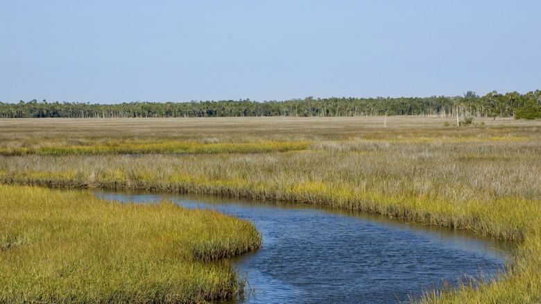 A Quaint Town on Florida's Nature Coast Boasts Classic Diners and Picturesque River Trails