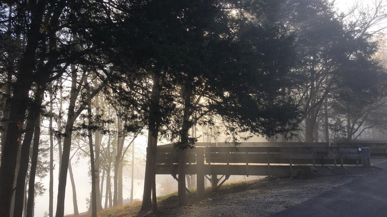 Experience Unique Camping Platforms Above a Stunning Lake at This Tennessee State Park