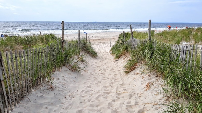 Escape City Crowds with Peaceful Island Camping at New York's Beloved National Seashore