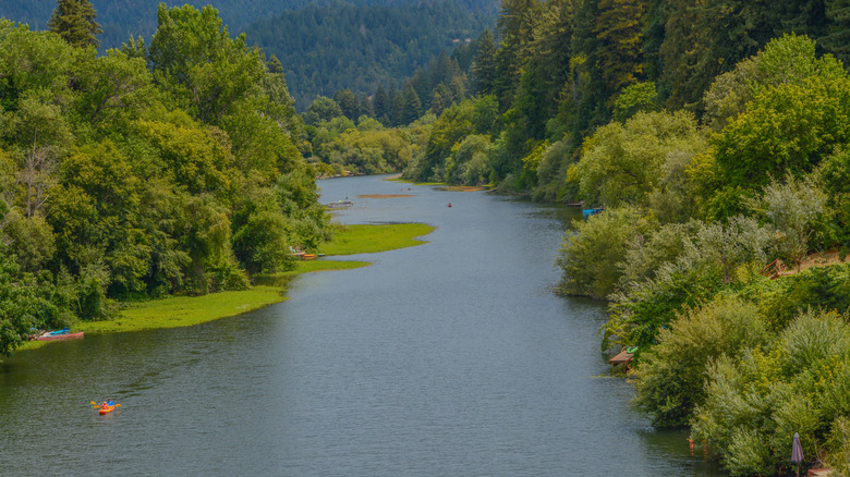 Sonoma County's Stunning River Valley Offers Exquisite Wines and Tranquil Riverside Picnic Areas