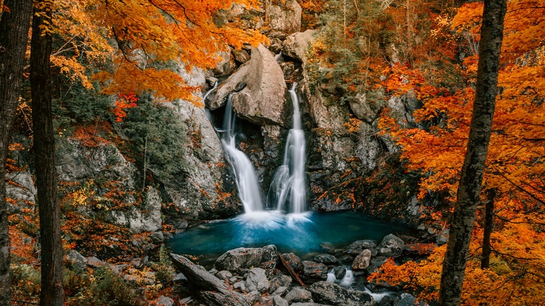 Massachusetts' Tallest Single-Drop Waterfall Flourishes in an Overlooked State Park with Stunning Trails