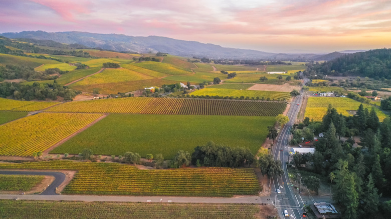 Train Network Connecting San Francisco and Santa Rosa Showcases the Best of Sonoma County Wine Country