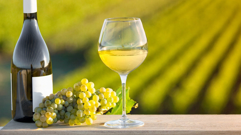Vineyards vs. Wineries: Understanding the Key Differences and Why It Matters