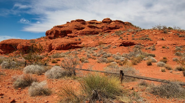 Discover Utah's Hidden Gem: A Premier Southwest Slot Canyon Featuring the Unique 'The Crack' Squeeze