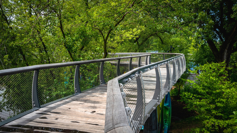 Explore Indiana's Hidden Gem: Dog-Friendly Trails and Old-Growth Forests Near Fort Wayne