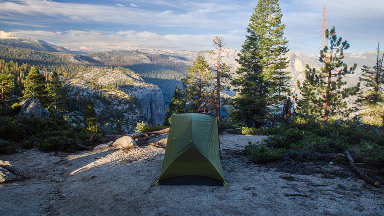The Impact of California's Proposed Budget Freeze on Summer 2025 Camping