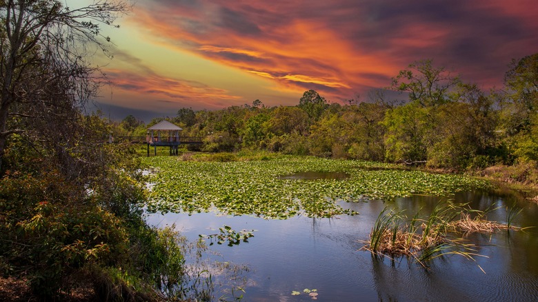 A Hidden Gem Near Tampa on Florida's Gulf Coast: A City Full of Parks, Trails, and Unique Shops