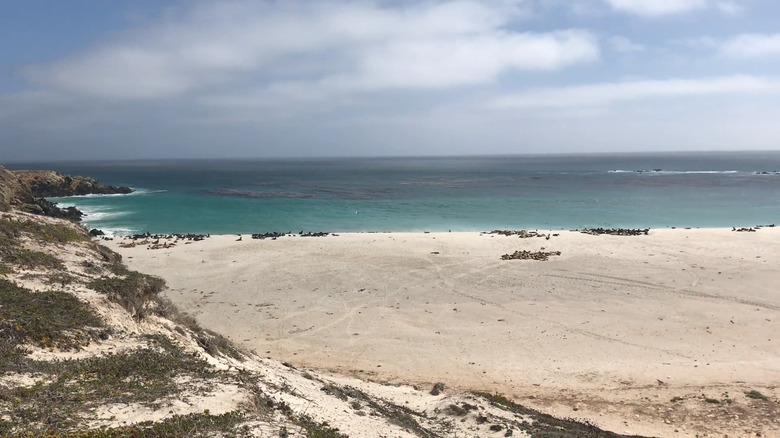 Explore This Stunning California Trail on One of the World's Best Islands for Outdoor Adventure