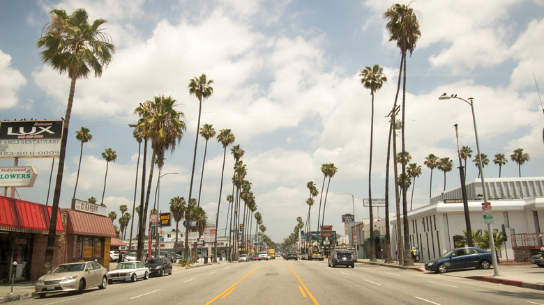 Discover a Central LA Neighborhood with Vibrant Murals, Bold Cuisine, and a Nearby Vintage Cinema
