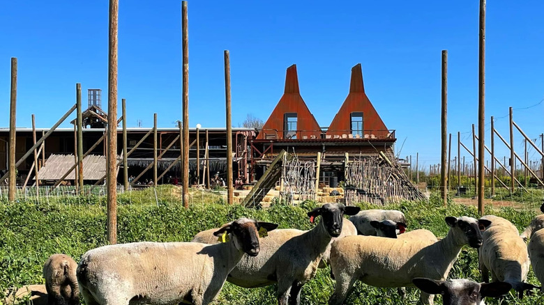 A Charming Farm and Brewery Near Sacramento Offers Music, Craft Beer, and Food Trucks