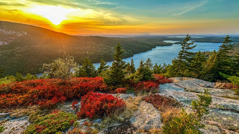 A Rocky Ocean Inlet with Thundering Waves: A Top Attraction in Maine's Acadia National Park