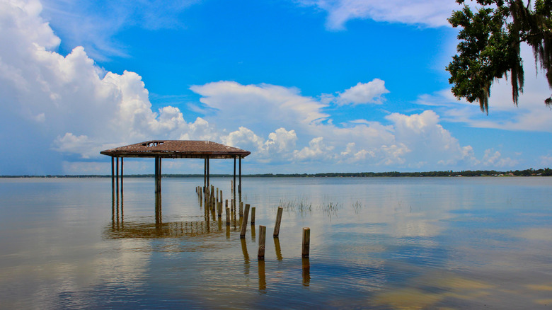 Discover America's Top Fishing Destinations in Florida's Hidden City Surrounded by Scenic Lakes