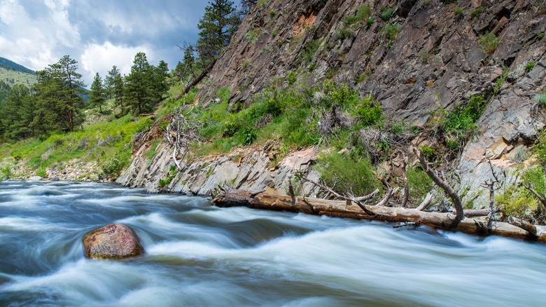 Trout-Filled River Canyon in Rocky Mountain National Park Promises Endless Outdoor Adventure in Colorado