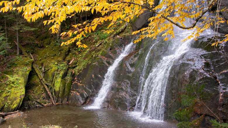 Vermont's Beloved Swimming Spot: A Natural Water Park Featuring Slides and Waterfalls