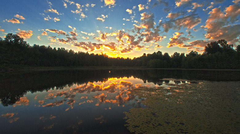 Explore Quiet Trails, Hidden Wetlands, and Abundant Wildlife in This Overlooked Indiana Wilderness