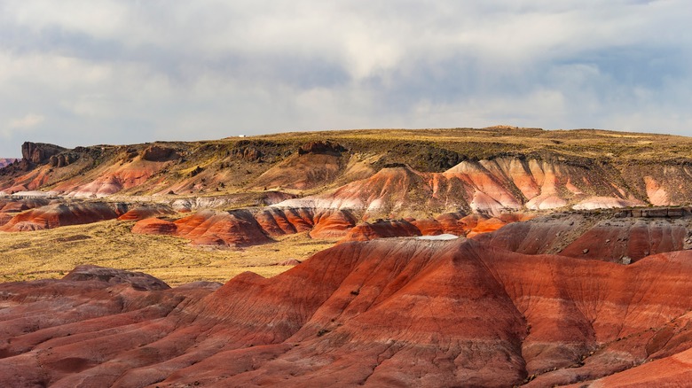 Arizona's Breathtaking National Park Features Fossils and Vibrant Desert Landscapes