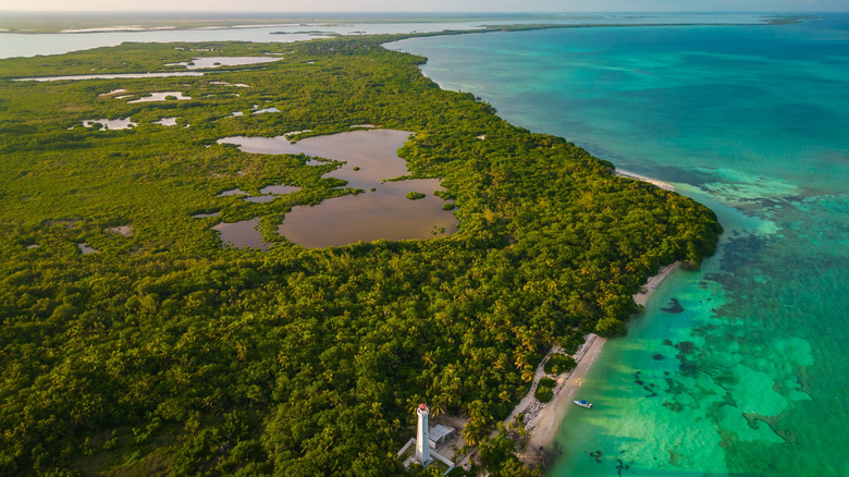 Discover Tulum's Hidden Wildlife Reserve: Snorkel in Crystal Clear Green Lagoons Amidst Tropical Splendor