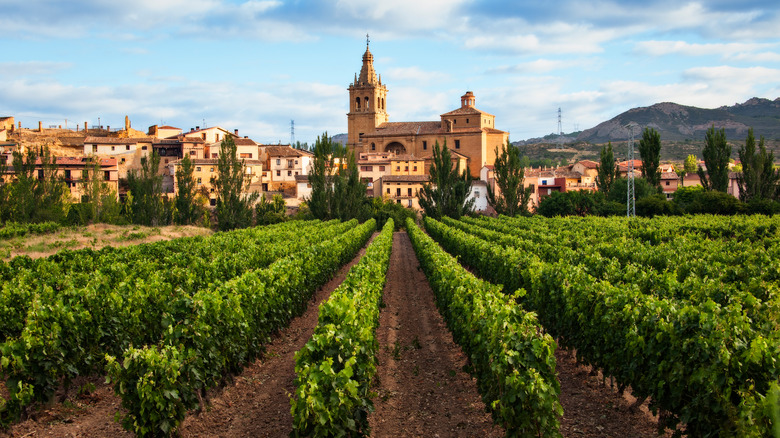 Spain's Premier Wine Region: A Scenic Blend of Sandstone Villages and Iconic Cellars