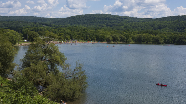Upstate New York's Shimmering State Park: A Paradise for Swimming, Hiking, and Picnicking