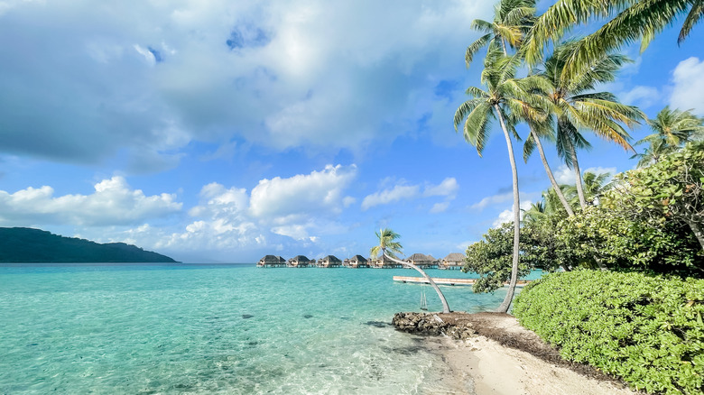 The 'Vanilla Island' of French Polynesia: A Tropical Retreat Surrounded by Reef-Fringed Turquoise Lagoons