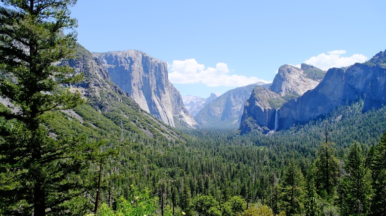 Yosemite National Park Finally Clarifies Its Confusing Reservation System