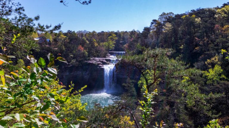 Alabama's DeSoto State Park Features One of America's Top Campgrounds with Stunning Waterfalls and Wildflowers