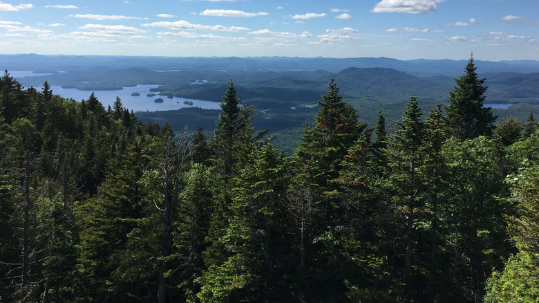Discover the Historic Charm of This Classic College Town Nestled in the Foothills of New York's Adirondack Mountains