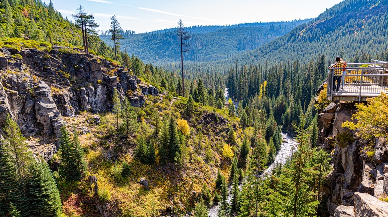 Discover One of Oregon's Most Enchanting and Fairytale-Like Hidden Waterfalls