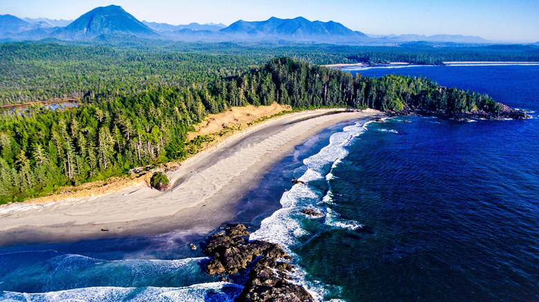 Discover a Hidden Gem on Vancouver Island: A Seaside Village with Beaches and Shipwreck Scuba Diving Adventures