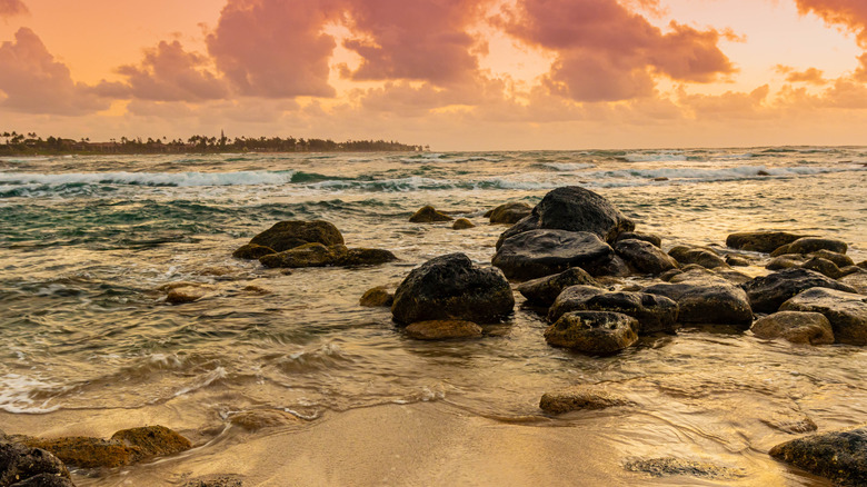 Discover Hawaii's Friendliest City: Your Gateway to Aquatic Adventures Amidst Lush Valleys