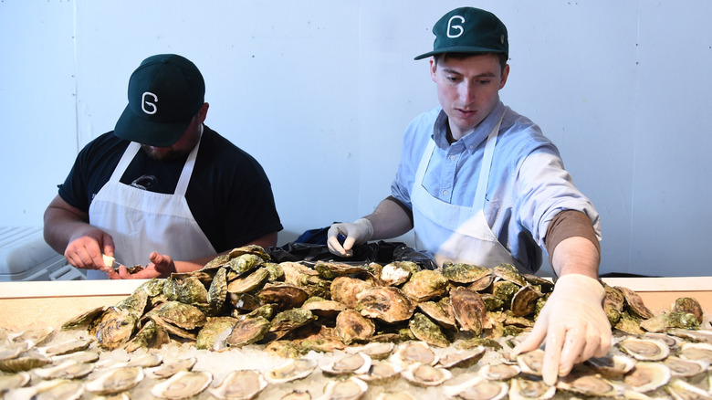 New England's 'Napa Valley of Oysters' Features a Delicious New Trail Perfect for a Day Trip from New York City