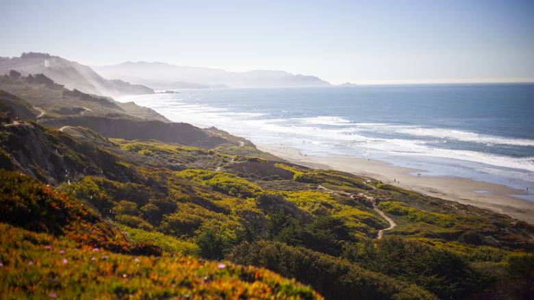 Serene Beach in San Francisco Boasts Bluffs, Sand Dunes, and Trails for Hiking and Horseback Riding