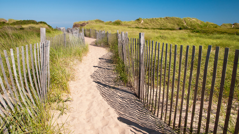 Experience One of Rhode Island's Top Summer Destinations: A Vibrant State Beach with Pristine Waters and Excellent Amenities