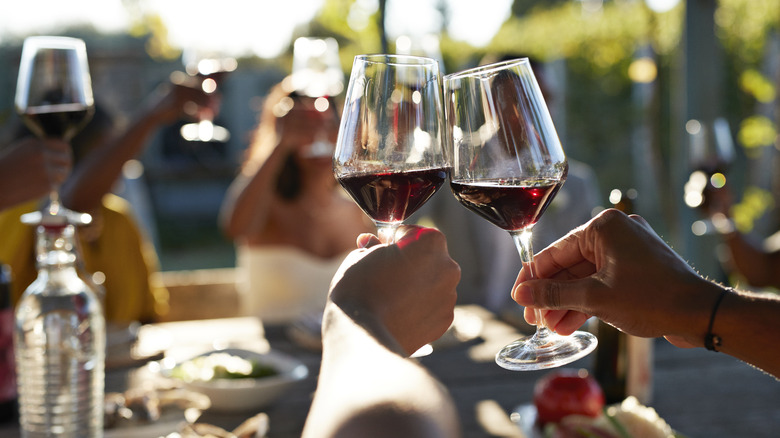 Just a Short Drive from Orlando: Discover Florida's Largest Winery with Award-Winning Wines, Food Festivals, and Grape Stomping Adventures