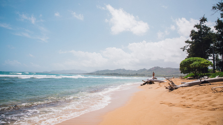 Hawaii's Beachside Gem: A Friendly City Merging Outdoor Adventure and Chic Shopping
