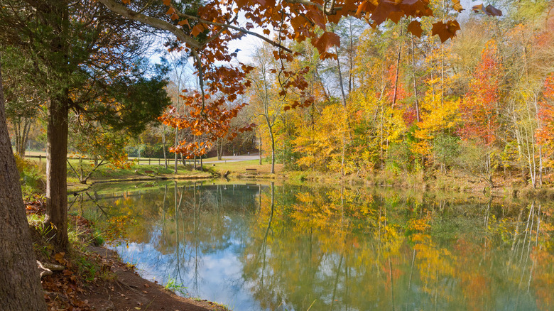 Tennessee's Breathtaking State Park Competes with Nearby National Parks, Featuring a Sparkling Lake and Majestic Mountain Views