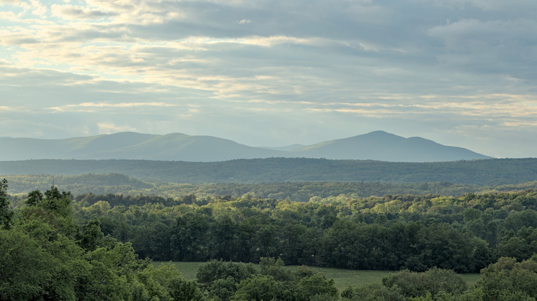 This Charming Hudson Valley County Boasts Serene Hills, Art Trails, and a Taste of New York